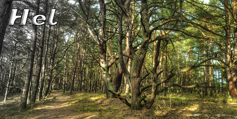 Hel, pocztwki z Helu, Port Hel, Nadmorski Park Krajobrazowy