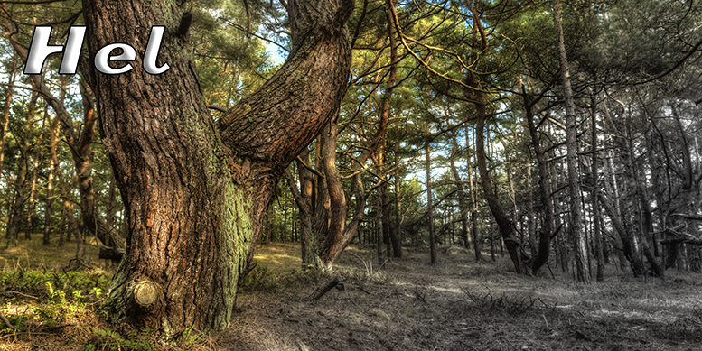 Hel, pocztwki z Helu, Port Hel, Nadmorski Park Krajobrazowy