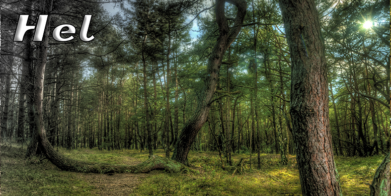 Hel, pocztwki z Helu, Port Hel, Nadmorski Park Krajobrazowy