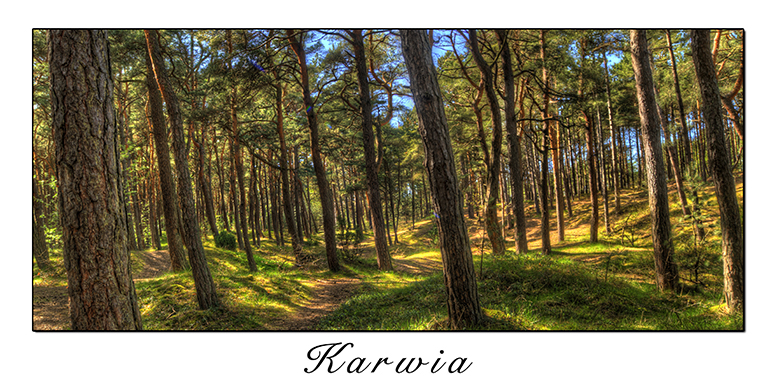 Karwia