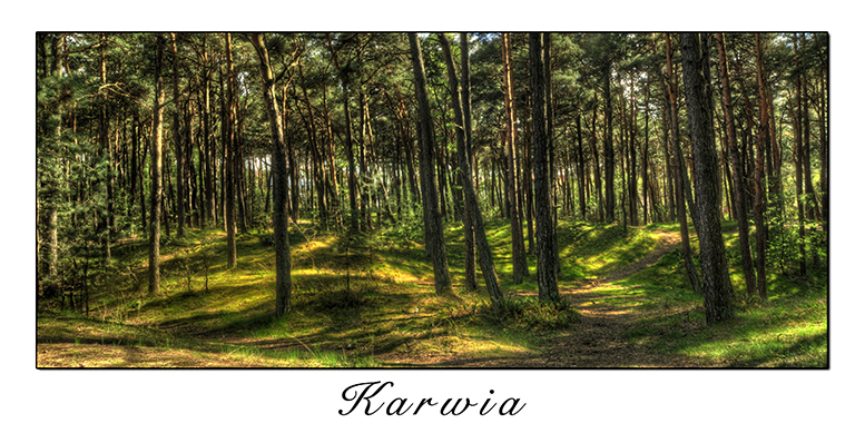 Karwia