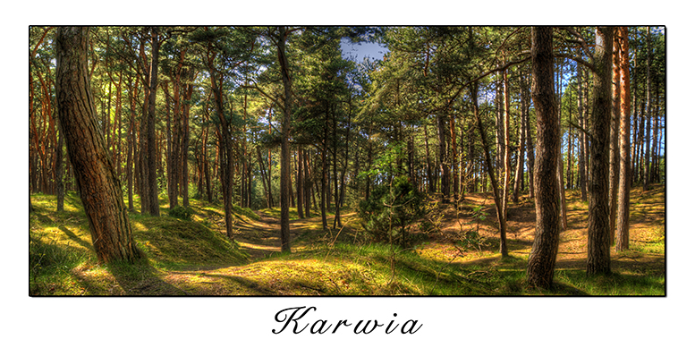 Karwia