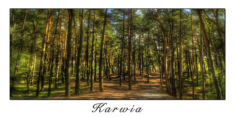 Karwia