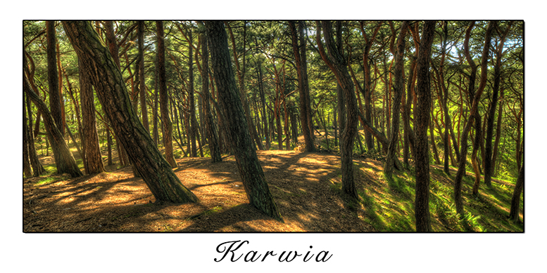 Karwia